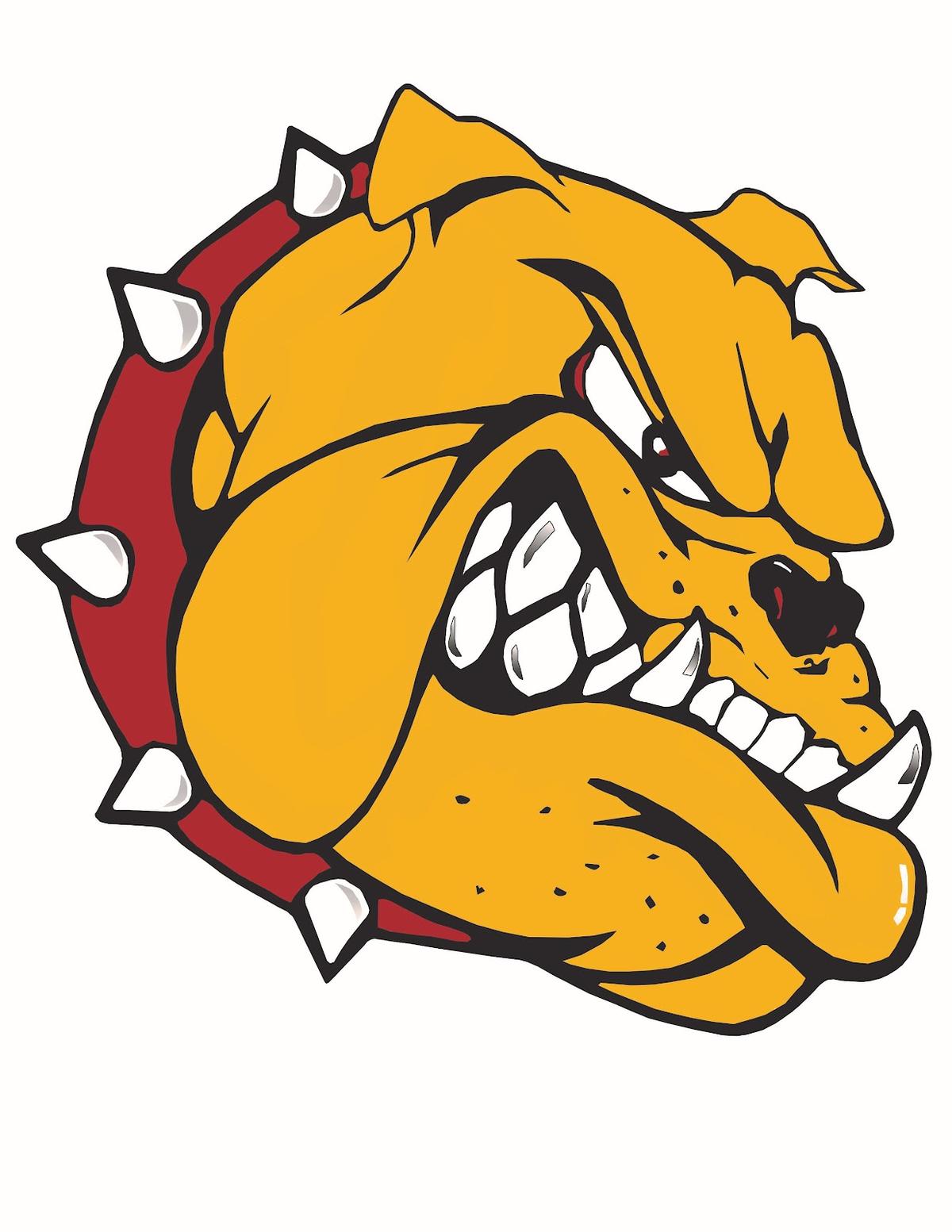 Hockey - JV Tournament, Senior Night, and 10-Year Celebration of 2016 State Championship